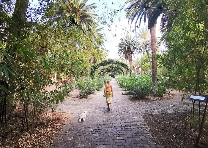 Home2book Stunning & Comfy Cruz * Santa Cruz de Tenerife