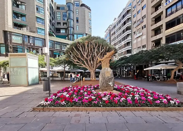 Home2book Stunning & Comfy Cruz *