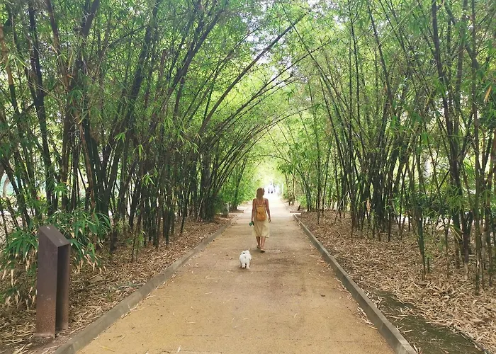 Home2book Stunning & Comfy Cruz Appartamento Santa Cruz de Tenerife